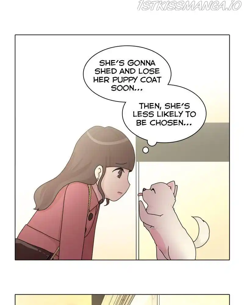 The Dog Diaries Chapter 42