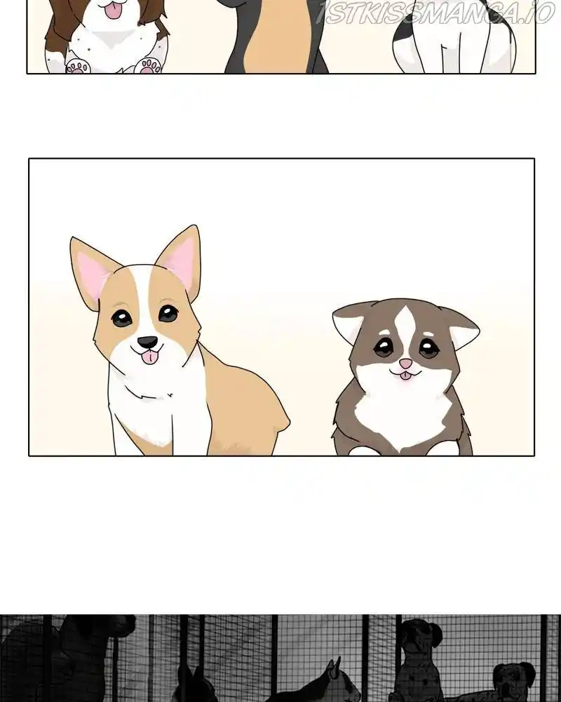 The Dog Diaries Chapter 42