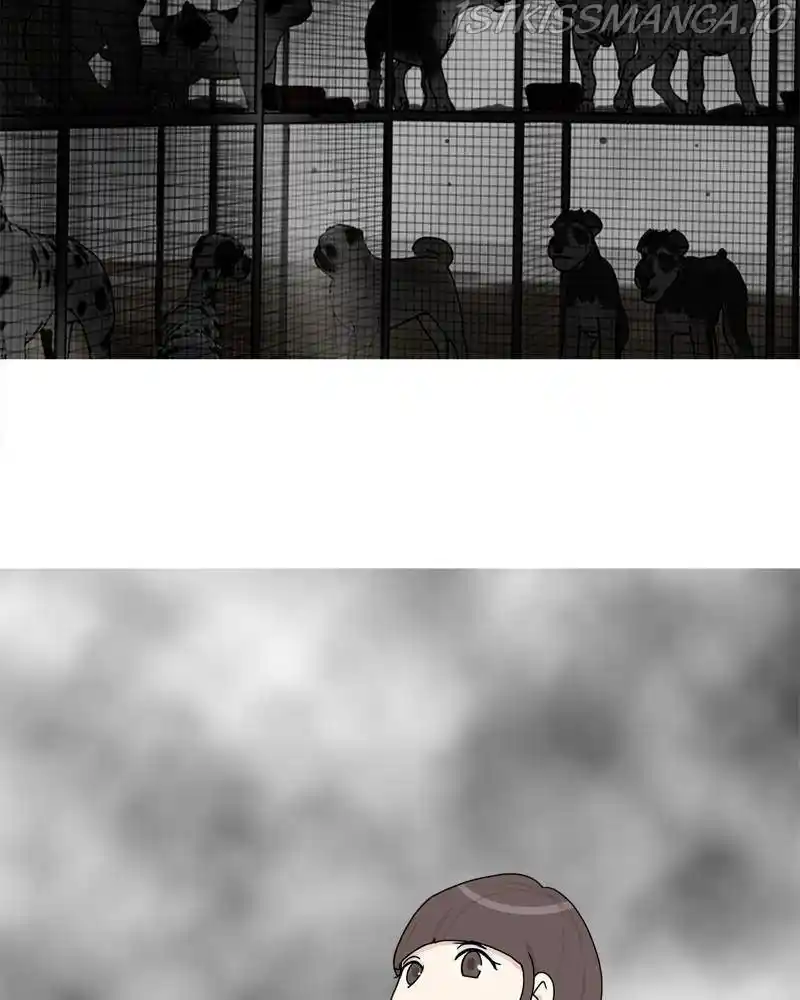 The Dog Diaries Chapter 42