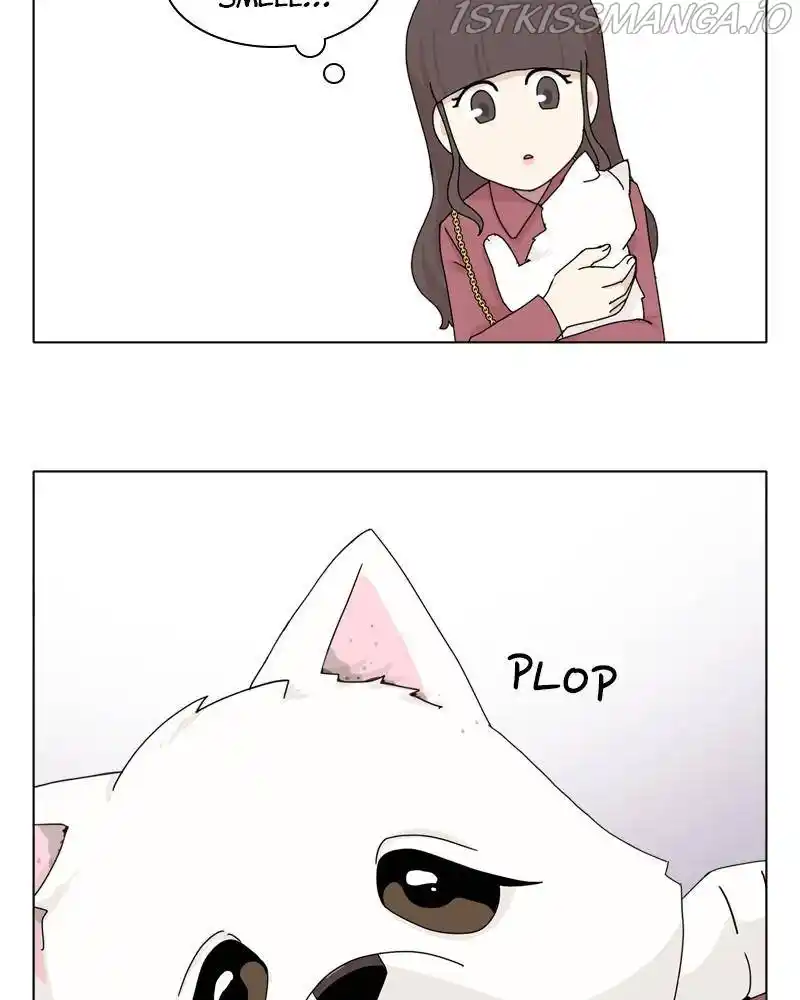 The Dog Diaries Chapter 42