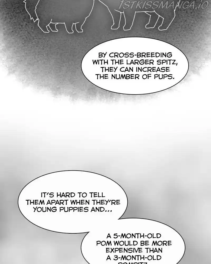 The Dog Diaries Chapter 42