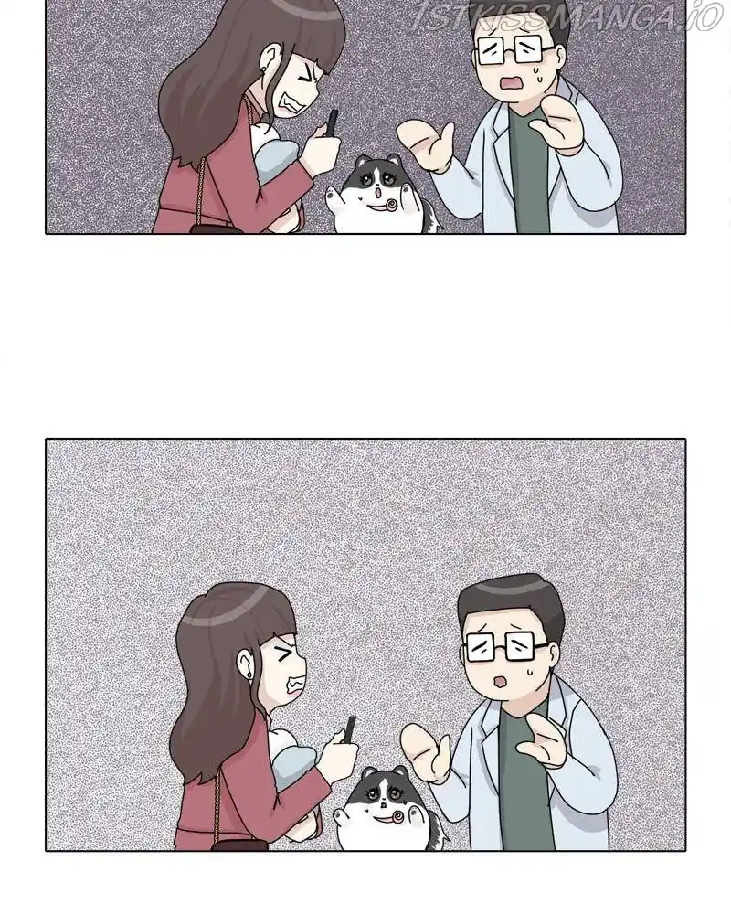 The Dog Diaries Chapter 42