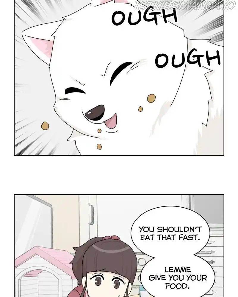 The Dog Diaries Chapter 42