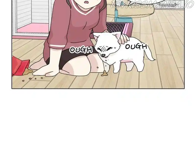 The Dog Diaries Chapter 42