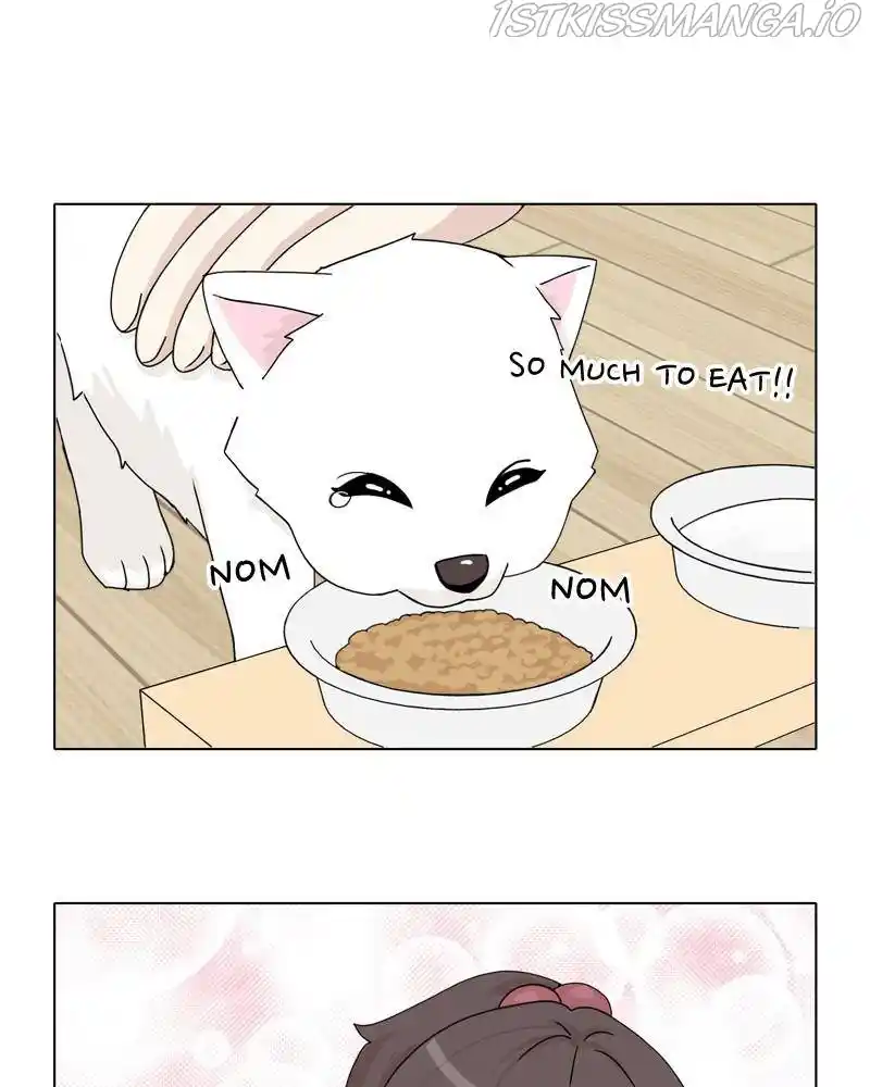 The Dog Diaries Chapter 42