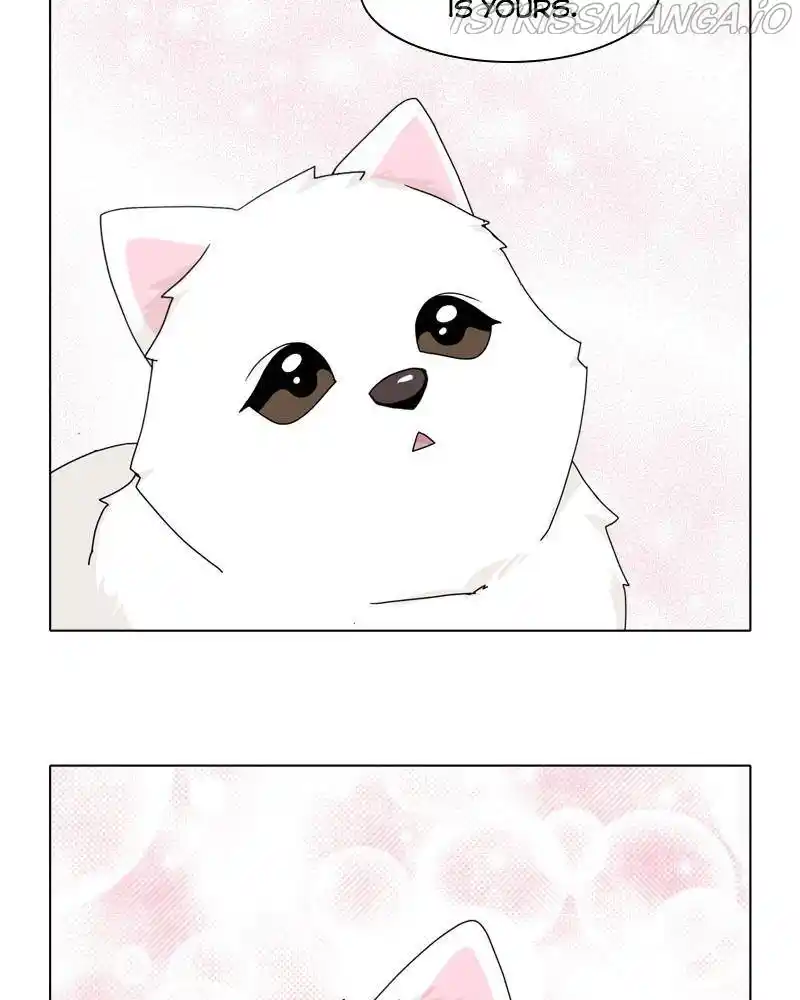 The Dog Diaries Chapter 42