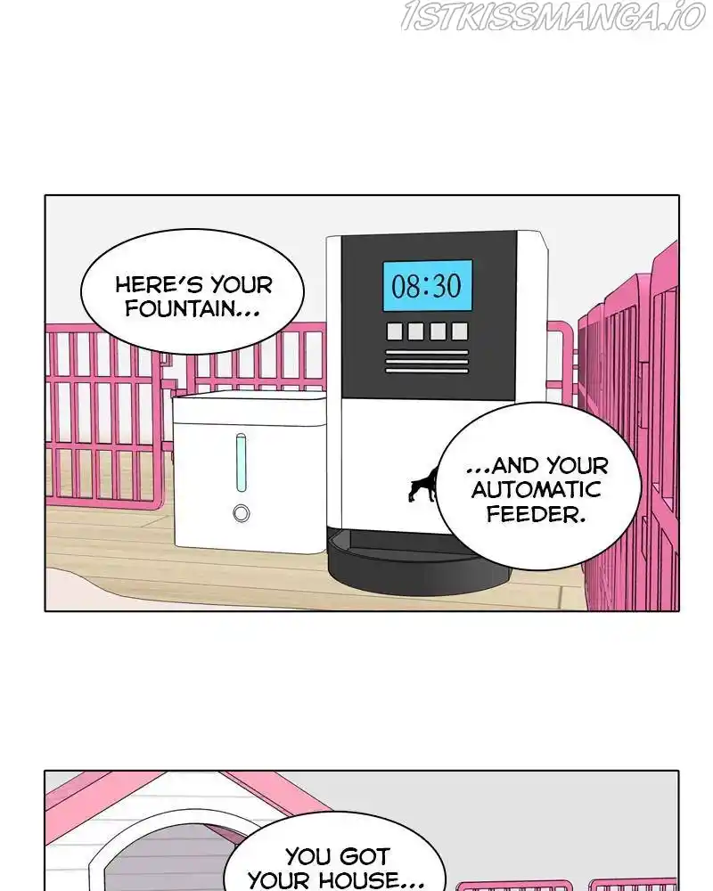 The Dog Diaries Chapter 42