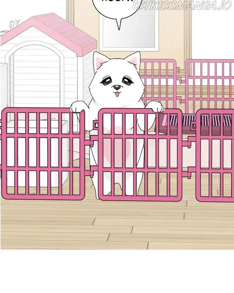 The Dog Diaries Chapter 42