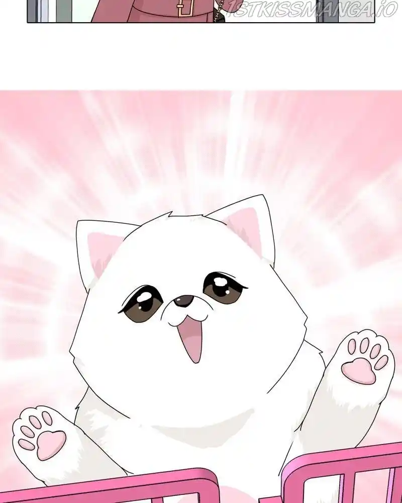 The Dog Diaries Chapter 43