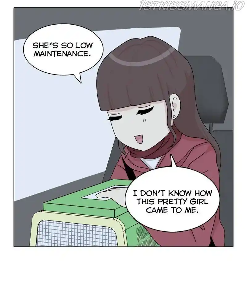 The Dog Diaries Chapter 43