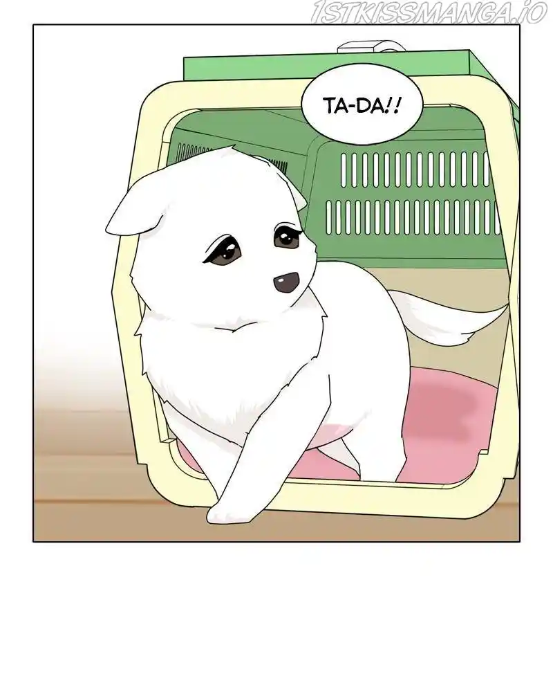 The Dog Diaries Chapter 43