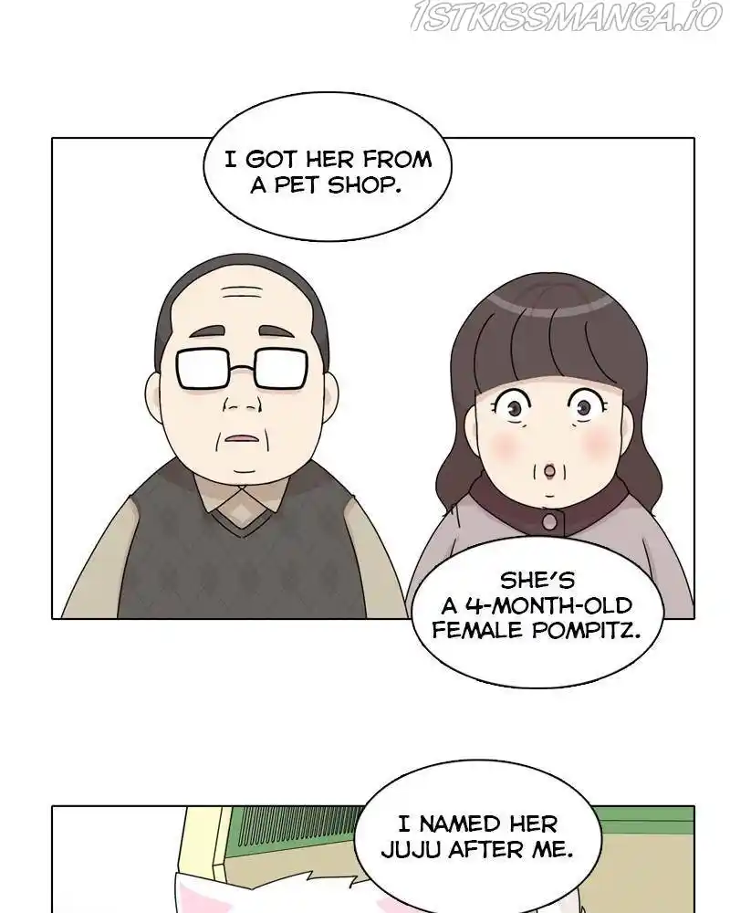 The Dog Diaries Chapter 43