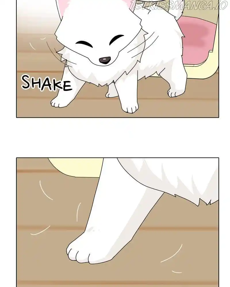 The Dog Diaries Chapter 43