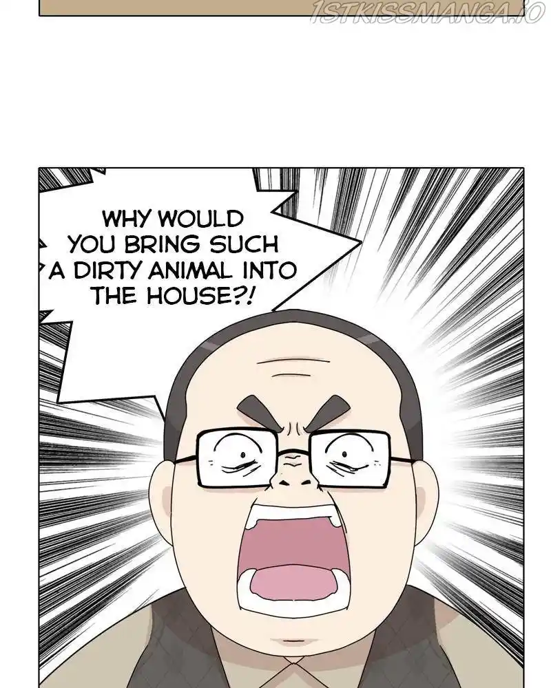 The Dog Diaries Chapter 43