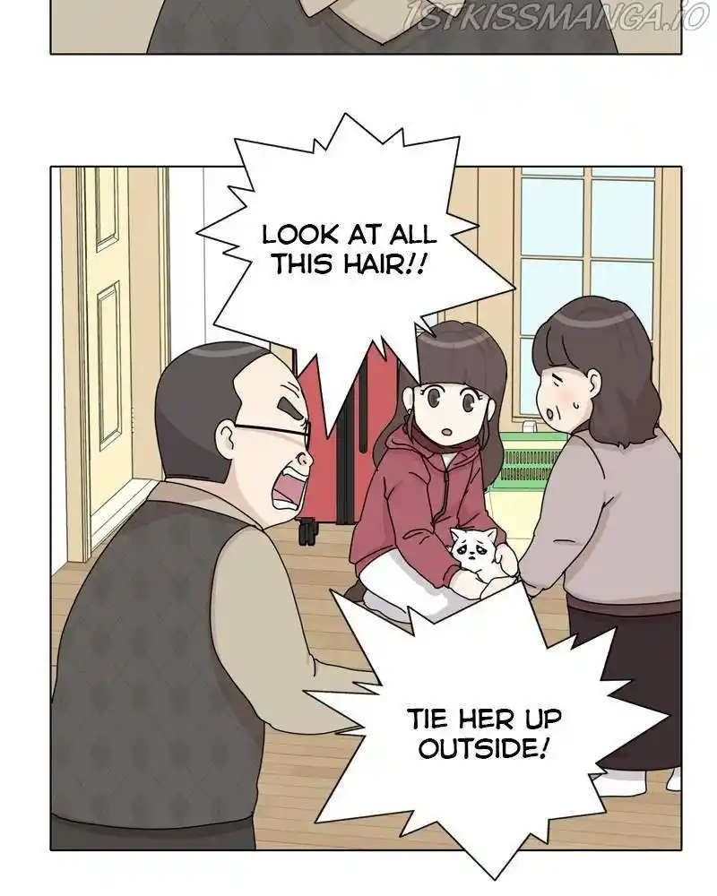 The Dog Diaries Chapter 43