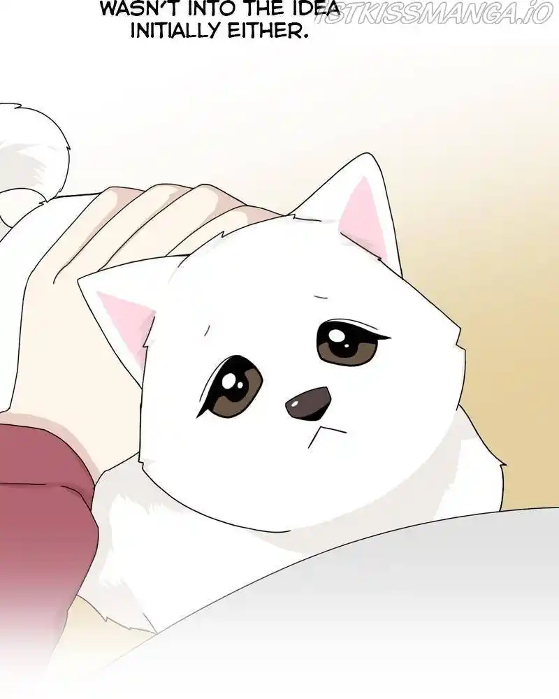 The Dog Diaries Chapter 43