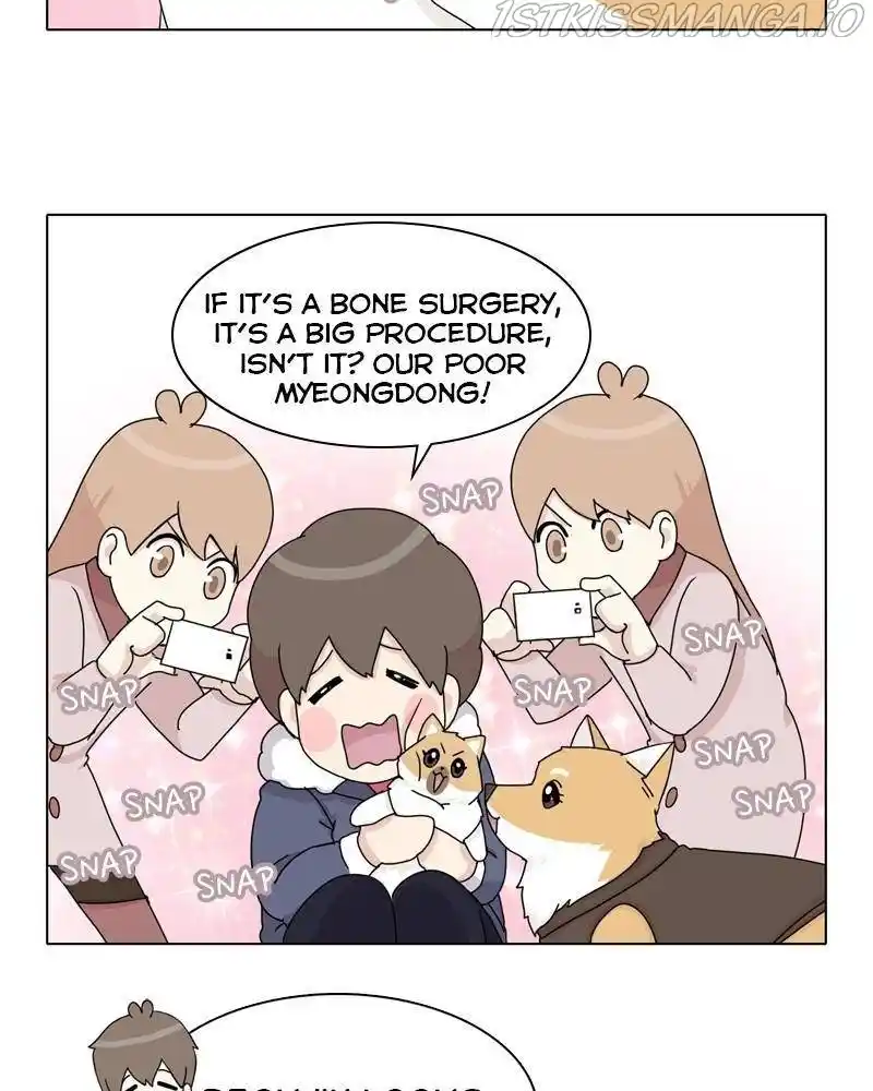 The Dog Diaries Chapter 43