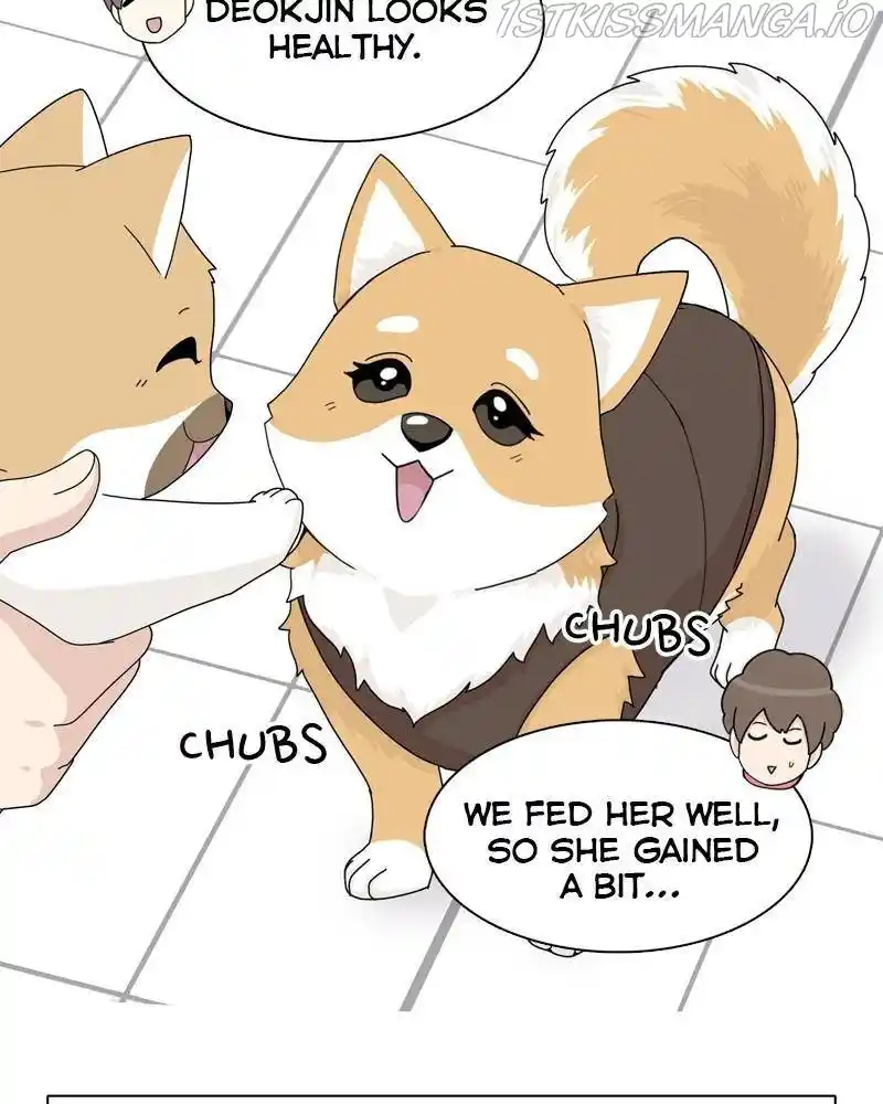 The Dog Diaries Chapter 43