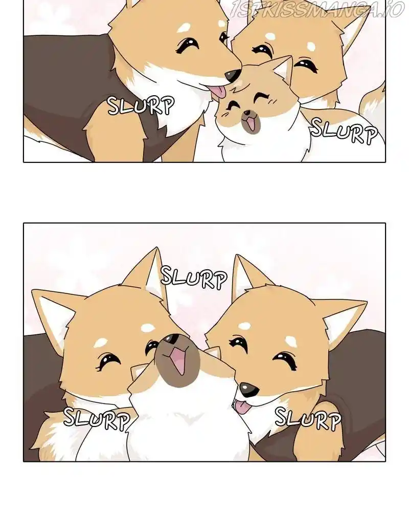 The Dog Diaries Chapter 43