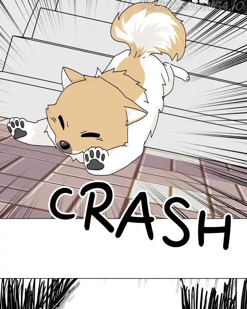 The Dog Diaries Chapter 43