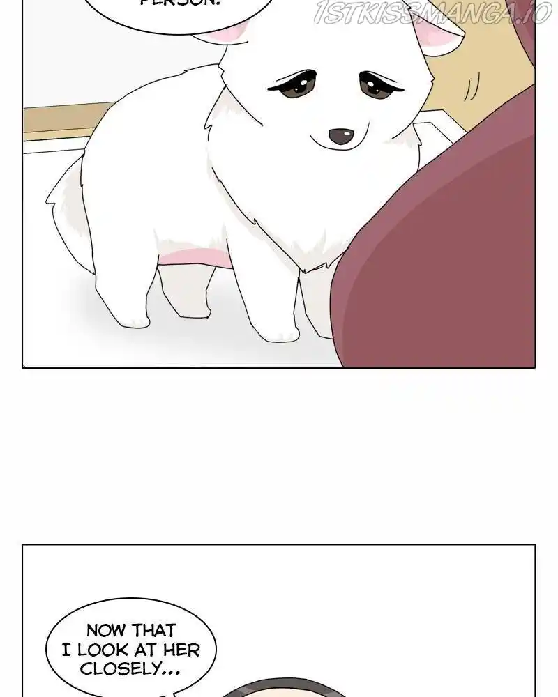 The Dog Diaries Chapter 43