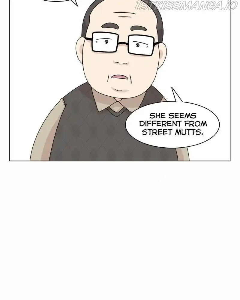 The Dog Diaries Chapter 43