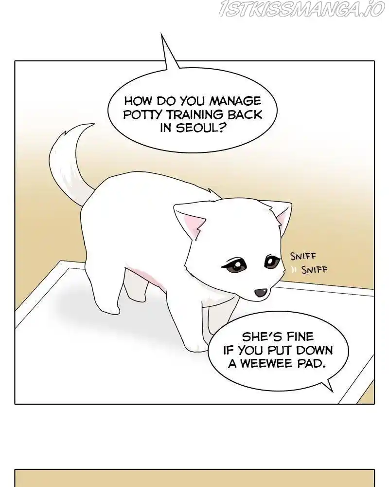 The Dog Diaries Chapter 43