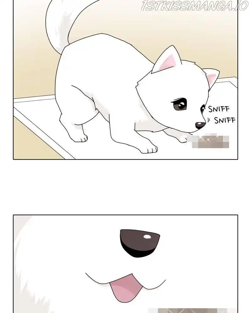 The Dog Diaries Chapter 43