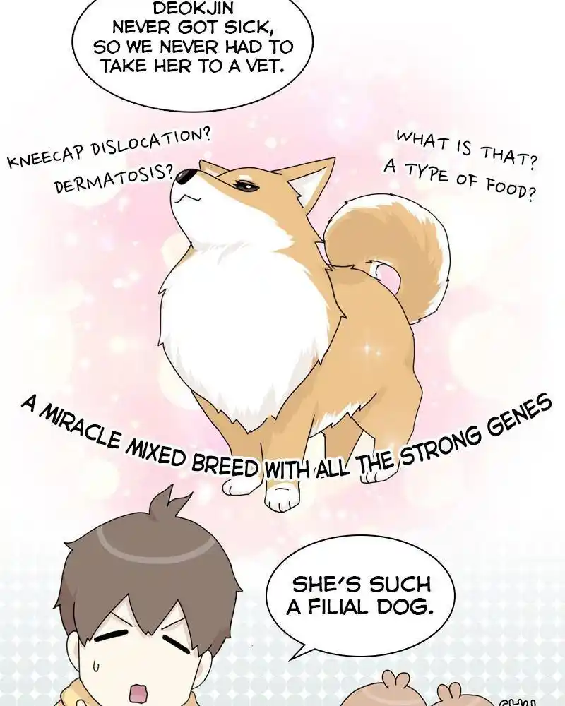 The Dog Diaries Chapter 44