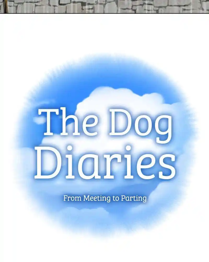 The Dog Diaries Chapter 44