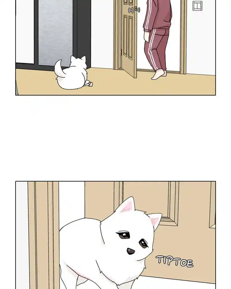 The Dog Diaries Chapter 44