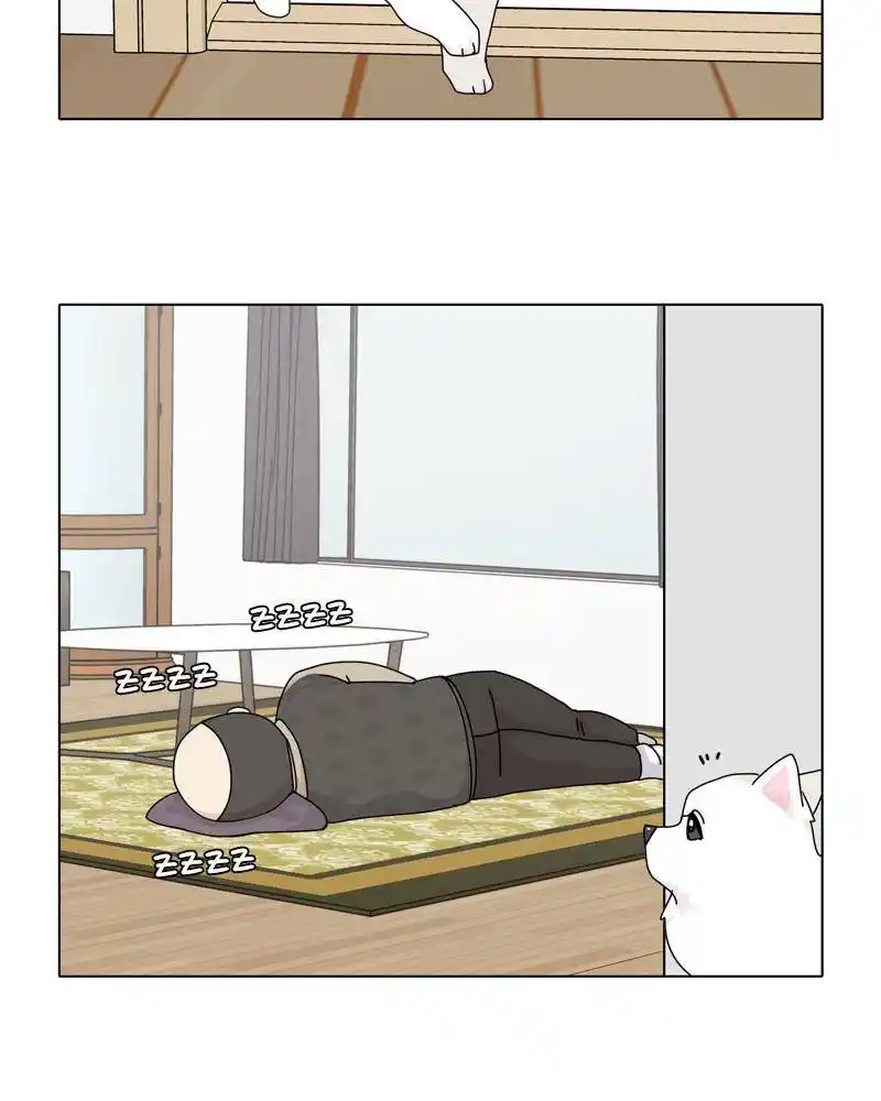 The Dog Diaries Chapter 44