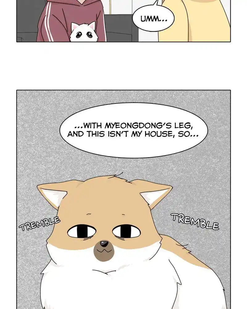 The Dog Diaries Chapter 44