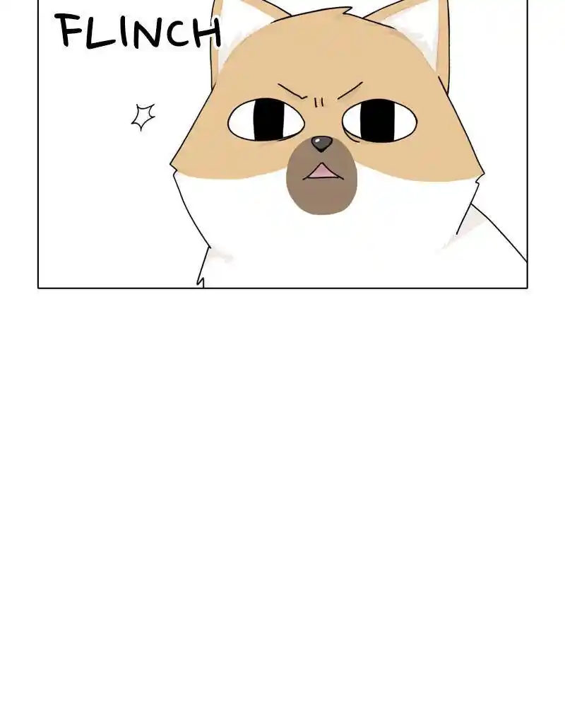 The Dog Diaries Chapter 44