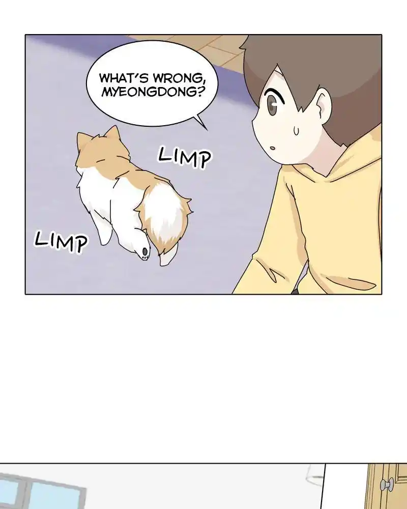 The Dog Diaries Chapter 44