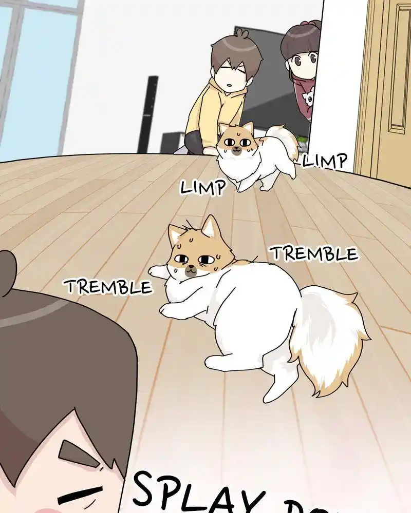 The Dog Diaries Chapter 44