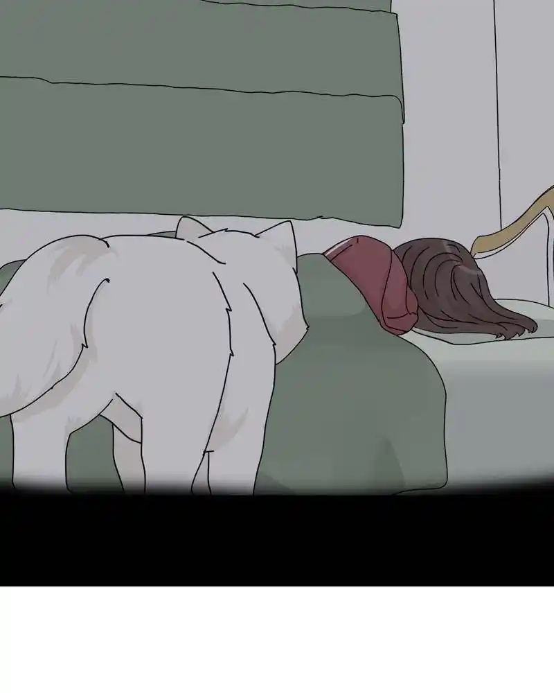 The Dog Diaries Chapter 44