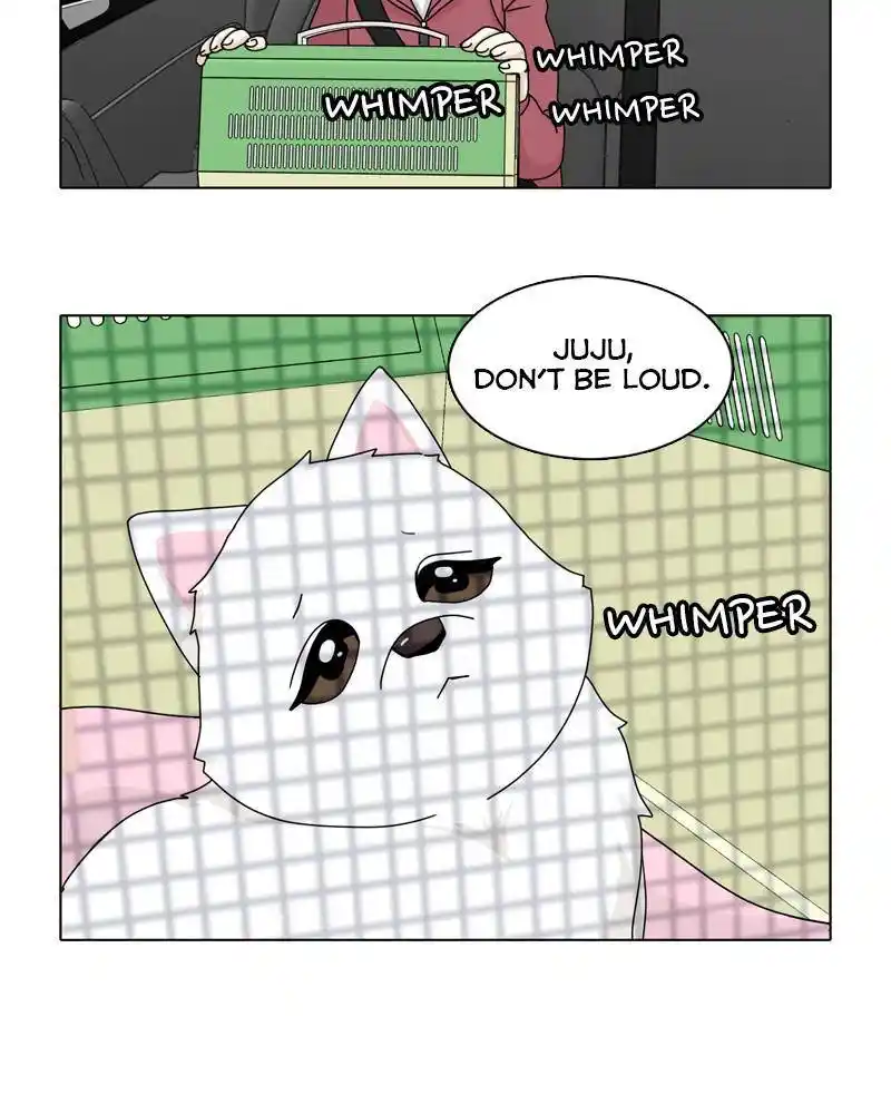 The Dog Diaries Chapter 45