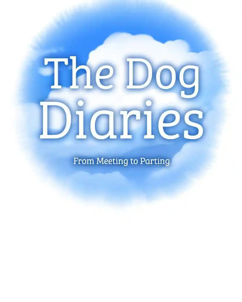 The Dog Diaries Chapter 45