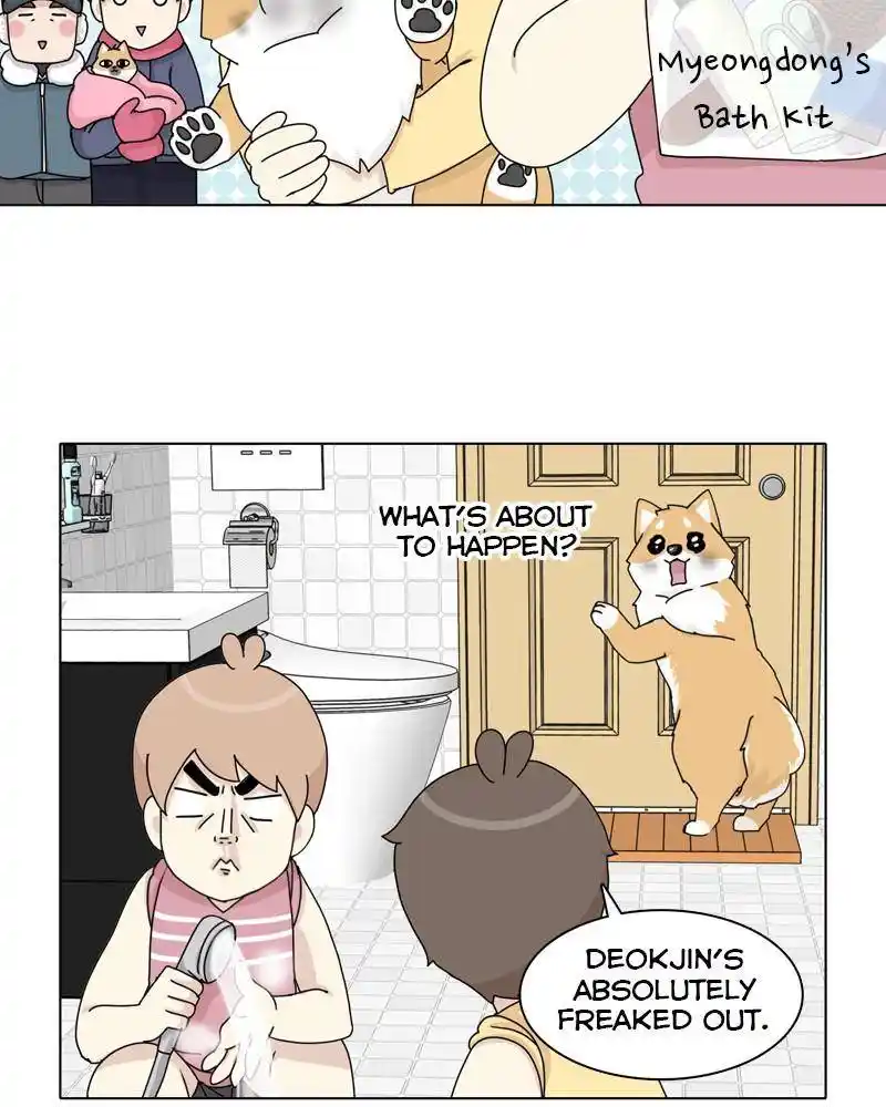 The Dog Diaries Chapter 45