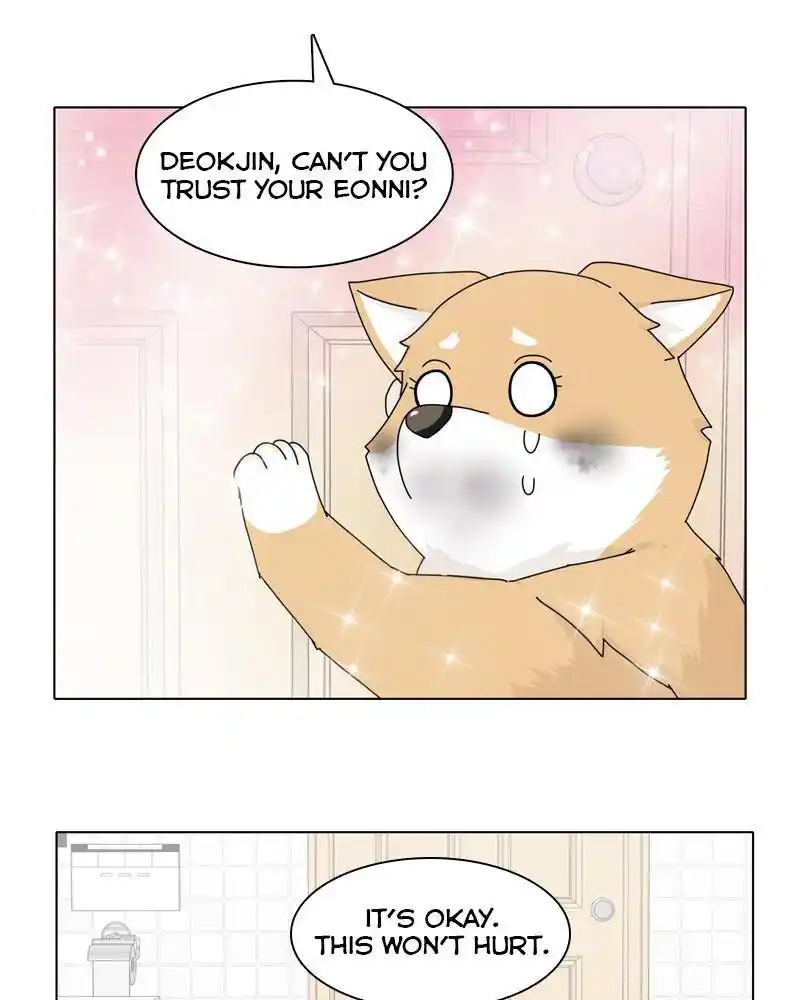 The Dog Diaries Chapter 45