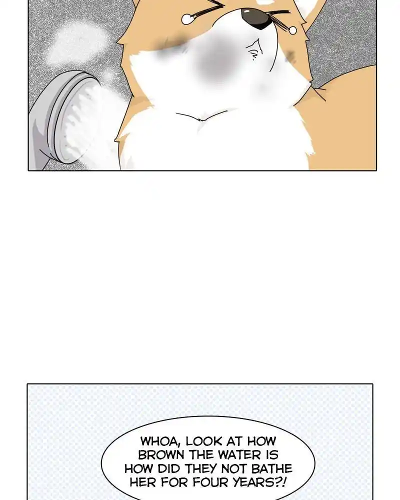 The Dog Diaries Chapter 45