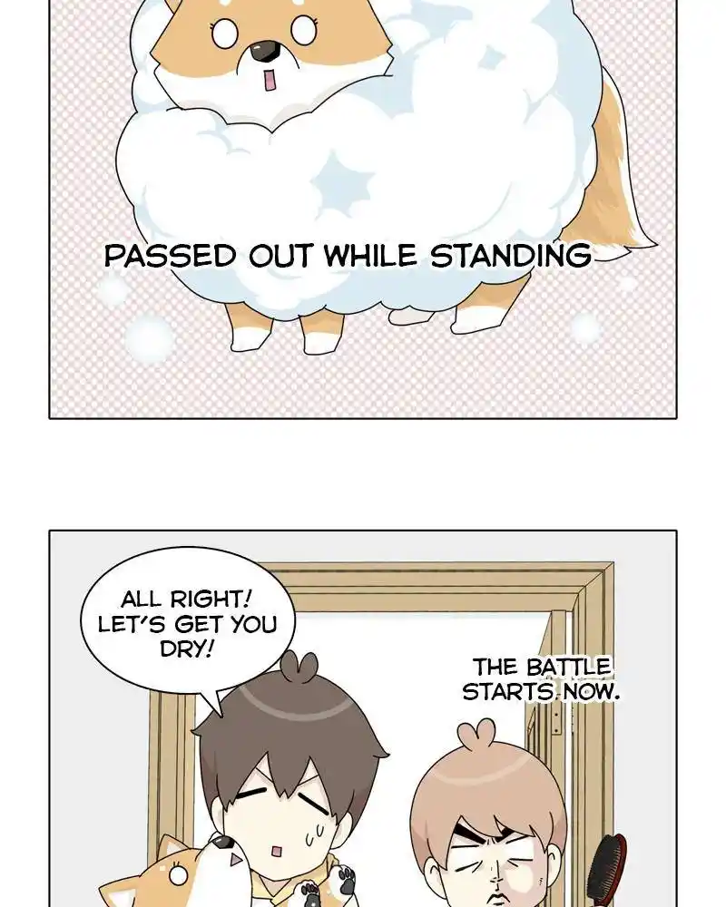 The Dog Diaries Chapter 45