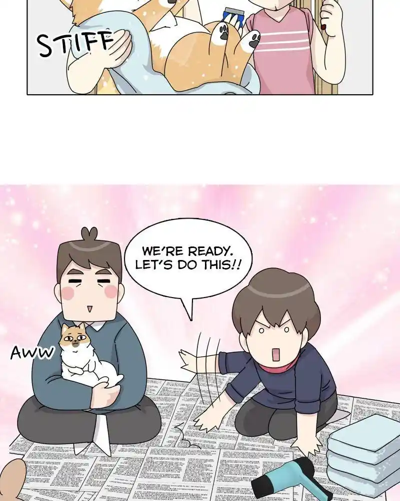 The Dog Diaries Chapter 45