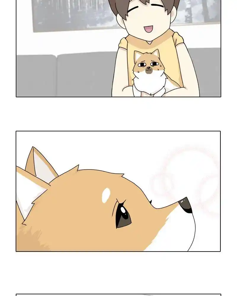 The Dog Diaries Chapter 45