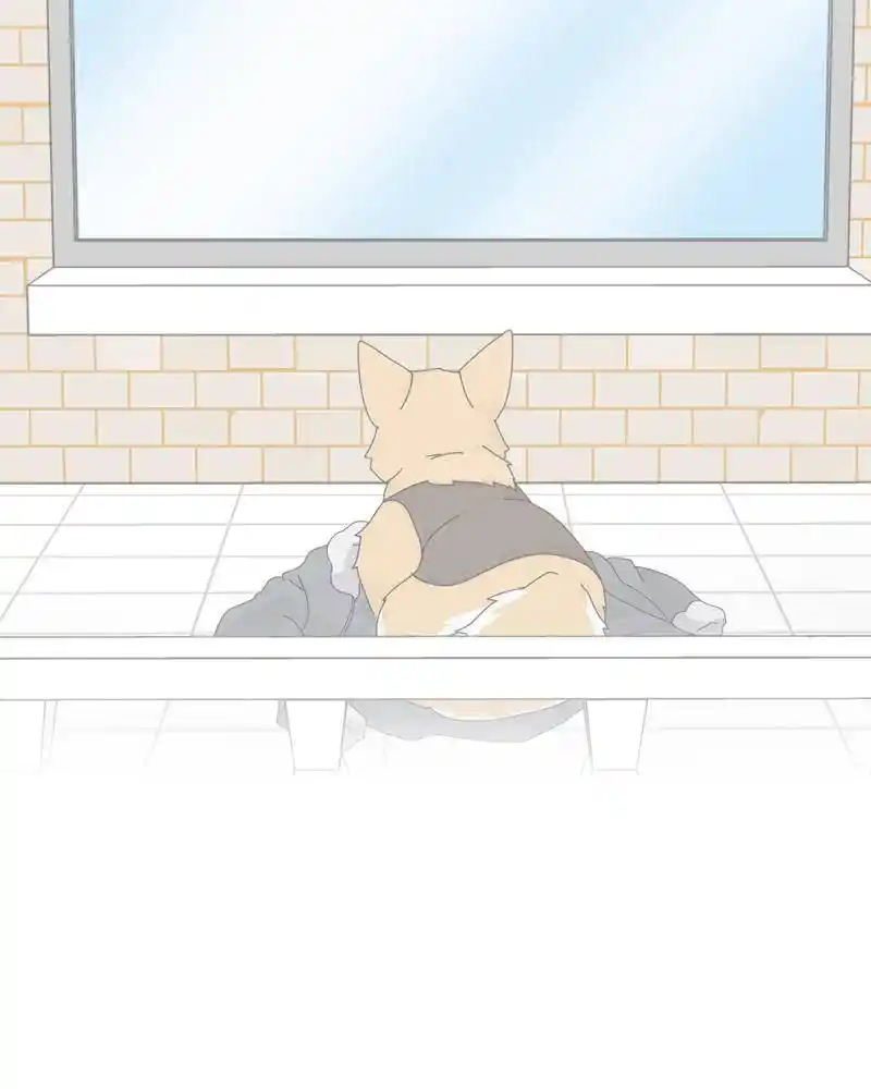 The Dog Diaries Chapter 45