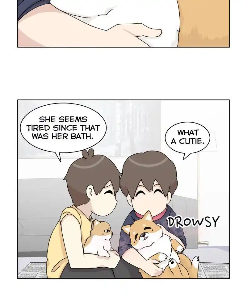 The Dog Diaries Chapter 45