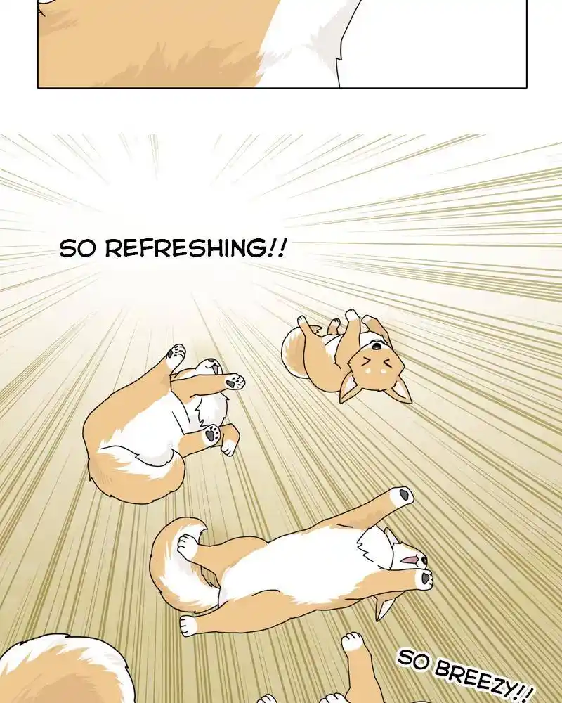 The Dog Diaries Chapter 45