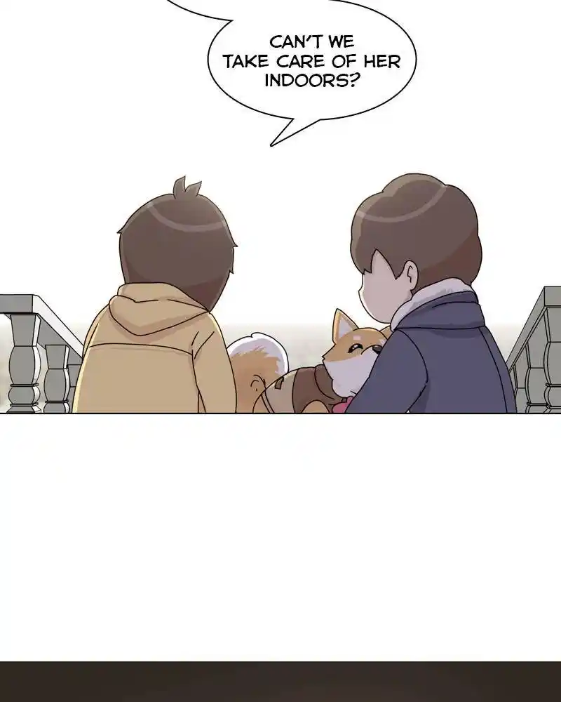 The Dog Diaries Chapter 45