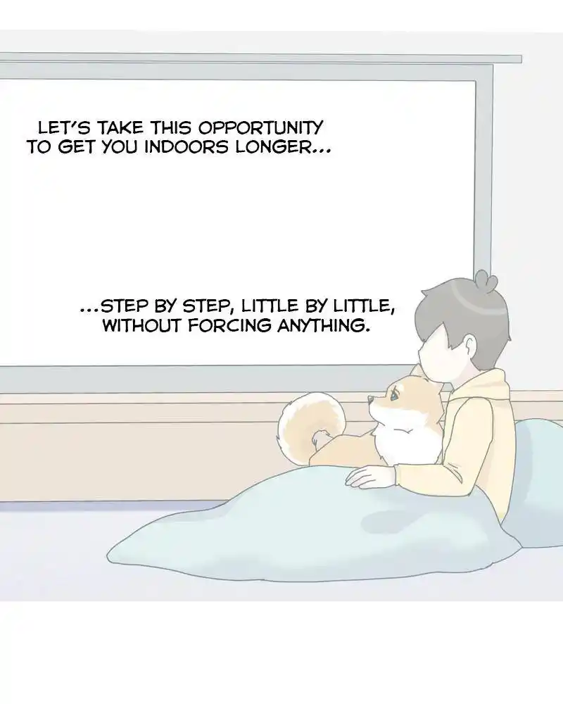 The Dog Diaries Chapter 45